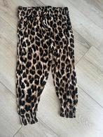 Coolcat harembroek capribroek 158 164 panterprint kort broek, Verzenden, Zo goed als nieuw, Meisje, Broek