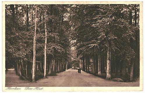 963208	Haarlem	Den Hout	1930	Gelopen met postzegel, Verzamelen, Ansichtkaarten | Nederland, Gelopen, Noord-Holland, 1920 tot 1940