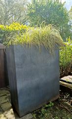 2 stuks hoge betonlook plantenbakken, Tuin en Terras, Overige materialen, 60 cm of meer, Tuin, Gebruikt