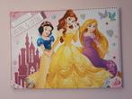 Mooi canvas schilderij Disney Prinsessen 50x70 cm, Zo goed als nieuw, Ophalen