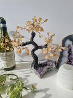 Gebrande Amethist op Amethist Cluster Bonsai 25/30 cm, Verzamelen, Mineralen en Fossielen, Ophalen of Verzenden
