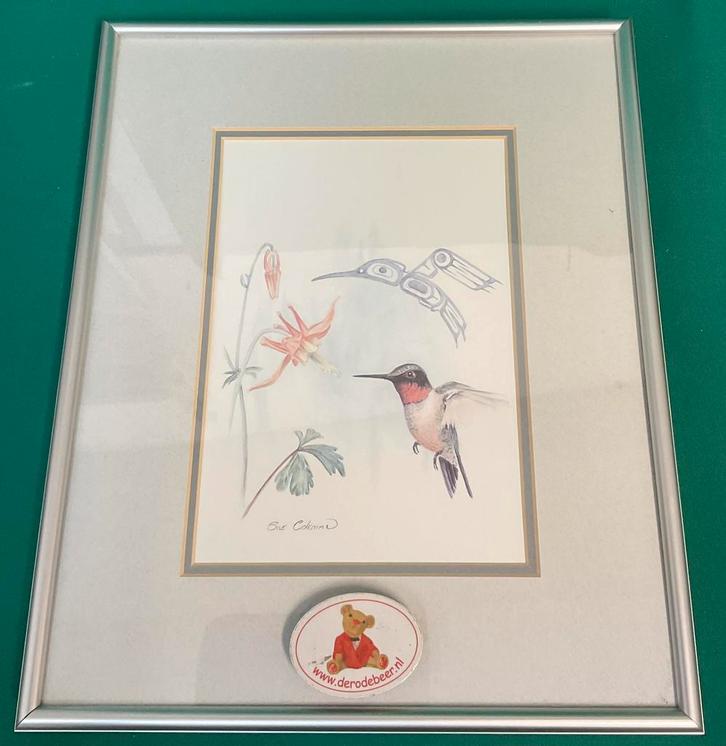 Sue Coleman the hummingbird prent, Antiek en Kunst, Kunst | Schilderijen | Klassiek, Ophalen of Verzenden