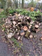 Haardhout conifeer, Ophalen