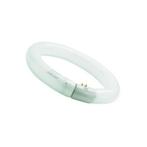 Sylvania Fluorescentie tl buis T8 840 G10Q 2400lm 32 W, Ophalen of Verzenden, Nieuw, Overige fittingen, Gloeilamp