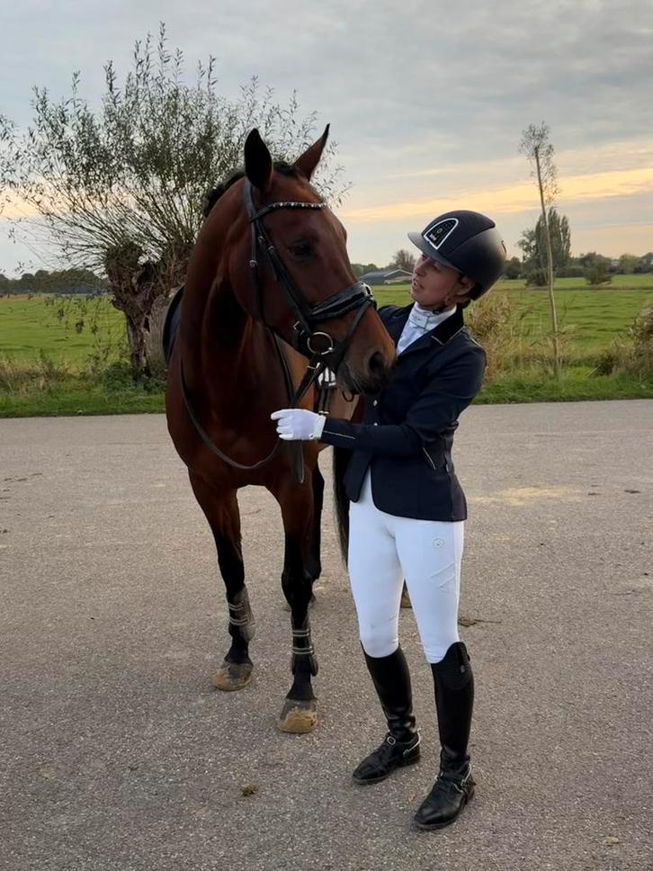 Trainingsplek vrij, Diensten en Vakmensen, Dieren | Paarden | Verzorging, Oppas en Les, Gedragstraining