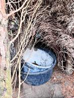 Large Construction/Garden Bucket  GRATIS x2, Ophalen, Gebruikt, Minder dan 10 meter