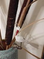 Oude Kerstvogel met Knijper, Diversen, Kerst, Ophalen of Verzenden, Gebruikt