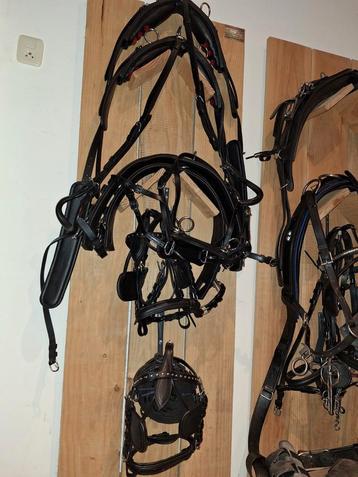 Tweespan tuig Shetlander mini Shetlander tuigen tuigage  beschikbaar voor biedingen