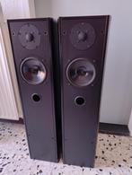 Dali 350 Bass Reflex staande luidsprekers, Overige merken, Gebruikt, Ophalen of Verzenden, 120 watt of meer