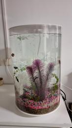 Biorb Tube 30L incl. toebehoren o.a. luchtpomp, filter etc., Dieren en Toebehoren, Vissen | Aquaria en Toebehoren, Ophalen, Gebruikt