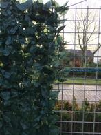Kunsthaag tuinscherm hedera klimop 150x300cm, Nieuw, 200 cm of meer, Kunststof, 150 tot 200 cm