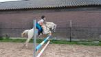 Lieve 4 jarige A pony zoekt een nieuw huisje, Dieren en Toebehoren, Merrie, Recreatiepony, 3 tot 6 jaar