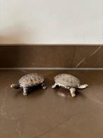 Vintage Schildpad Pillendoosjes Set verguld antiek, Antiek en Kunst, Ophalen of Verzenden