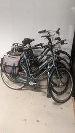 Diverse fietsen Gazelle Cortina ( ook Bosch Koga) Giant, Ophalen of Verzenden, Gebruikt, Gazelle