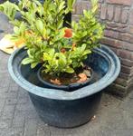 Koperen Bloembak Groot, Ophalen, Tuin, Gebruikt, Rond
