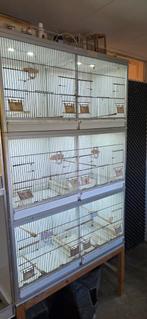 Van Keulen kweekooien / stelling, Ophalen, Zo goed als nieuw, Kunststof, Broedkooi of Kweekkooi