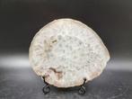 Agaat Schijf op Standaard |, Verzamelen, Mineralen en Fossielen, Ophalen of Verzenden, Mineraal