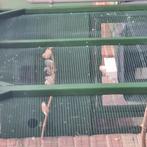 9 zebra vinken te koop, Dieren en Toebehoren, Vogels | Overige Vogels, Meerdere dieren