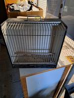 Vervoerskooitjes, Dieren en Toebehoren, Ophalen, Hout, Vogelkooi
