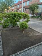 Tuinman aangeboden, Ophalen of Verzenden, Nieuw, 20 m² of meer