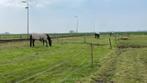 stalling op kleine stal  net buiten Zuidland, Dieren en Toebehoren, Weidegang, 1 paard of pony