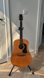 Washburn Acoustic Guitar, Muziek en Instrumenten, Ophalen of Verzenden, Zo goed als nieuw, Western- of Steelstringgitaar