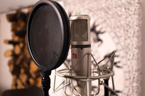sE Electronics sE2200T-TUBE, Muziek en Instrumenten, Microfoons, Gebruikt, Studiomicrofoon, Ophalen of Verzenden