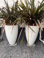 2 Grote Plantenbakken Polyester, Tuin en Terras, Ophalen, Kunststof, Gebruikt, Minder dan 60 cm