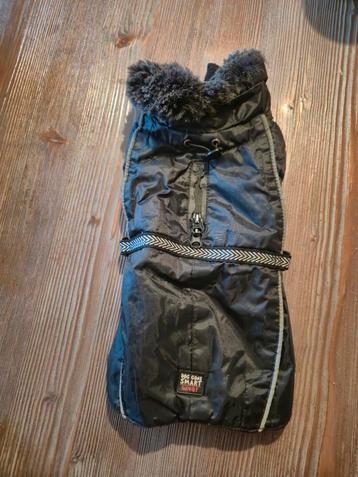 Hondenjasje voor kleine hond beschikbaar voor biedingen