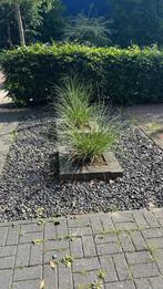 Gratis siergrind (basalt split), Ophalen of Verzenden, Gebruikt, Overige materialen