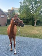 Super lieve merrie, Dieren en Toebehoren, Pony's, Merrie, Gechipt, Dressuurpony, Zadelmak