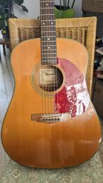 Ibanez Acoustic Guitar, case+Free strings, Muziek en Instrumenten, Snaarinstrumenten | Gitaren | Akoestisch, Ophalen, Gebruikt