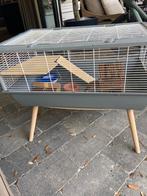 Hamsterkooi en accessoires l, Dieren en Toebehoren, Knaagdieren en Konijnen | Hokken en Kooien, Kooi, Minder dan 75 cm, Zo goed als nieuw