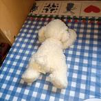 PIA Holland schaap knuffel liggend 20 cm groot, Ophalen of Verzenden