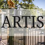 4 x ARTIS Toegangskaarten 🐘, Tickets en Kaartjes, Drie personen of meer, Ticket of Toegangskaart