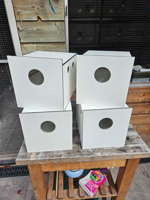 Nieuwe broedblokken van trespa, Dieren en Toebehoren, Vogels | Hokken en Kooien, Nieuw, Broedkooi of Kweekkooi, Kunststof, Ophalen of Verzenden