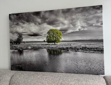 Prachtige canvas schilderij beschikbaar voor biedingen