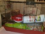Hamsterkooi met accesoires, Dieren en Toebehoren, Kooi, Minder dan 75 cm, Zo goed als nieuw, Hamster