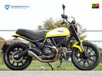 Ducati Scrambler 800 Icon ABS, Motoren, Motoren | Ducati, Bedrijf, Meer dan 35 kW, 800 cc, Naked bike
