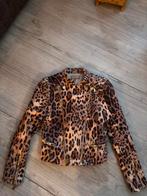 Josh V jack mt s als nieuw, Maat 38/40 (M), Bruin, Ophalen of Verzenden, Zo goed als nieuw