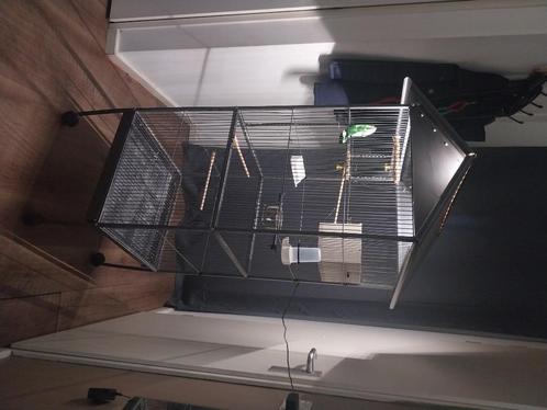 Strakke kamervoliere incl LED verlichting voor weggeefprijs, Dieren en Toebehoren, Vogels | Hokken en Kooien, Zo goed als nieuw