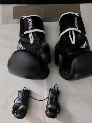 Bokshandschoenen Maat 12 oz  beschikbaar voor biedingen