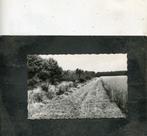 Ansicht Groeten uit Zweeloo, Verzamelen, Ansichtkaarten | Nederland, Verzenden, Ongelopen