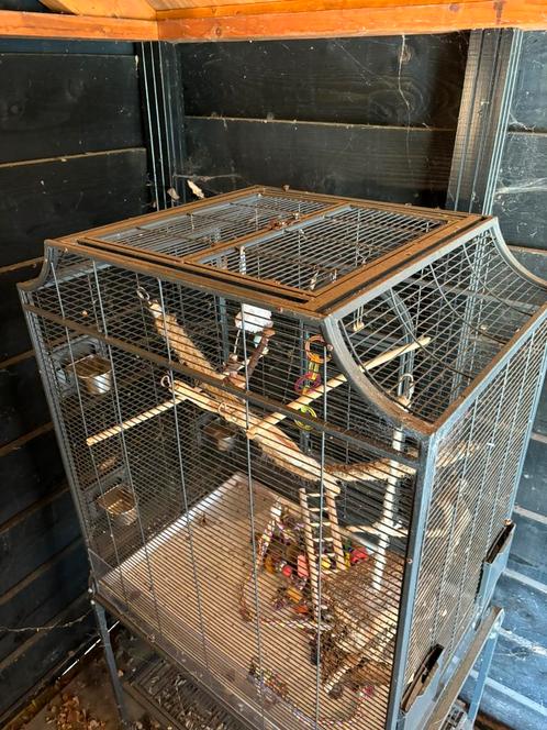 Montana madeira 1, Dieren en Toebehoren, Vogels | Hokken en Kooien, Gebruikt, Vogelkooi, Metaal, Ophalen