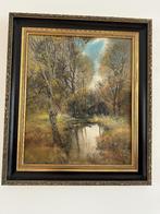 Schilderij - bosgezicht, Antiek en Kunst, Kunst | Schilderijen | Klassiek, Ophalen