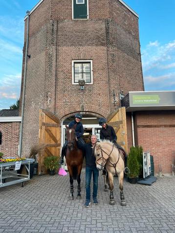 Ruitersportmarkt! beschikbaar voor biedingen