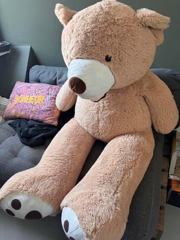 Grote Teddybeer - Zo Goed Als Nieuw beschikbaar voor biedingen