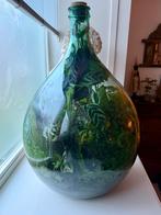 Kamer planten terrarium groot 70cm hoog incl. Gereedschap, Huis en Inrichting, Kamerplanten, Ophalen, Overige soorten, Halfschaduw