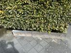 Stenen border, Tuin en Terras, Tegels en Klinkers, Ophalen, Gebruikt, Overige typen, 10 m² of meer