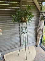 Plantentafel Lichen, Minder dan 55 cm, Gebruikt, Verzenden, Vierkant